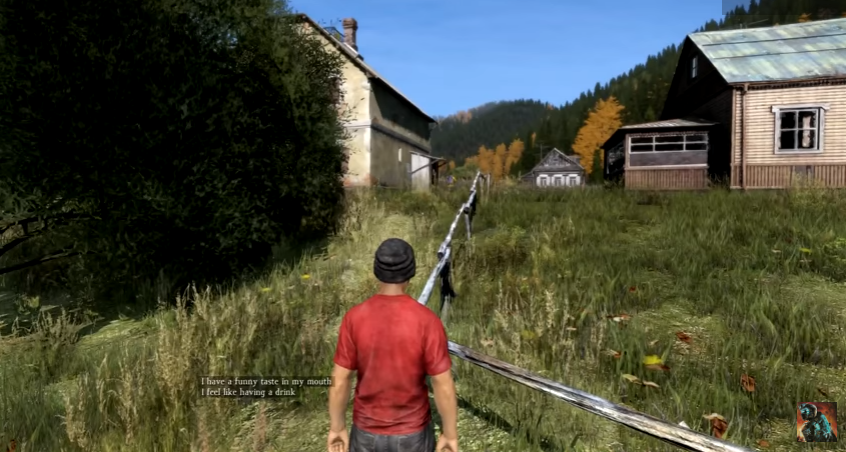 DayZ
